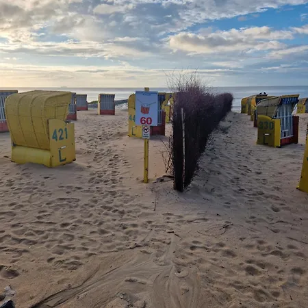 Toni's Kegelrobbe * Cuxhaven